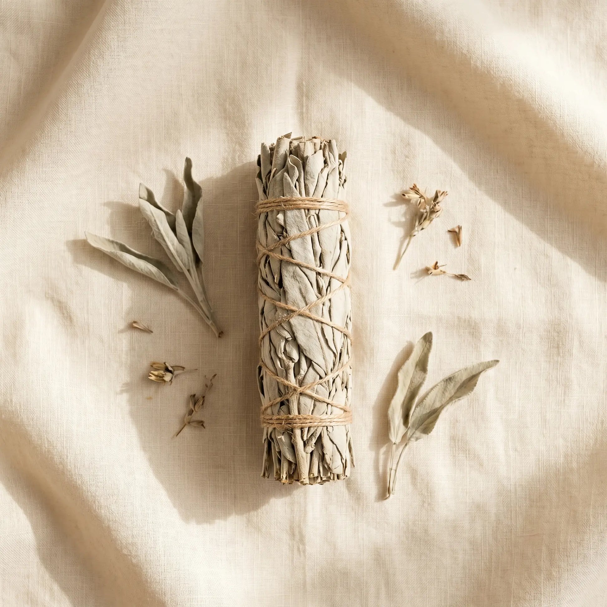 Weißer Salbei, Salvia apiana, als Räucherbündel im Detail